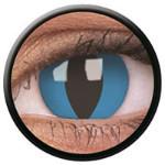 Colorvue Crazy Cheshire (2 lenses/pack)