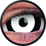 Colorvue Mini Sclera Lens The Doom - 3 Months Disposable (2 lenses/pack)
