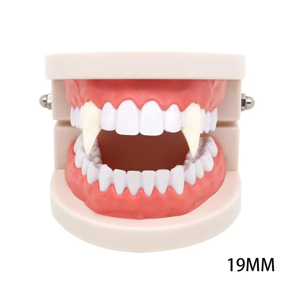 Cosplay Fangs/ False Teeth/ Vampire Teeth - Image 5