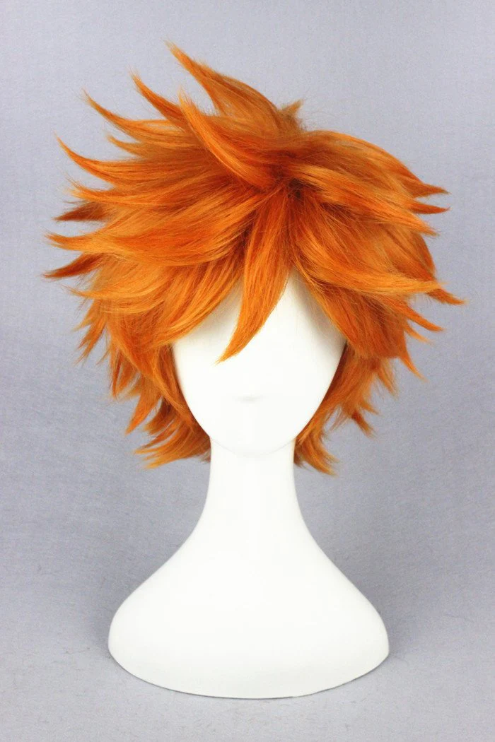Cosplay Wig - cs 186K