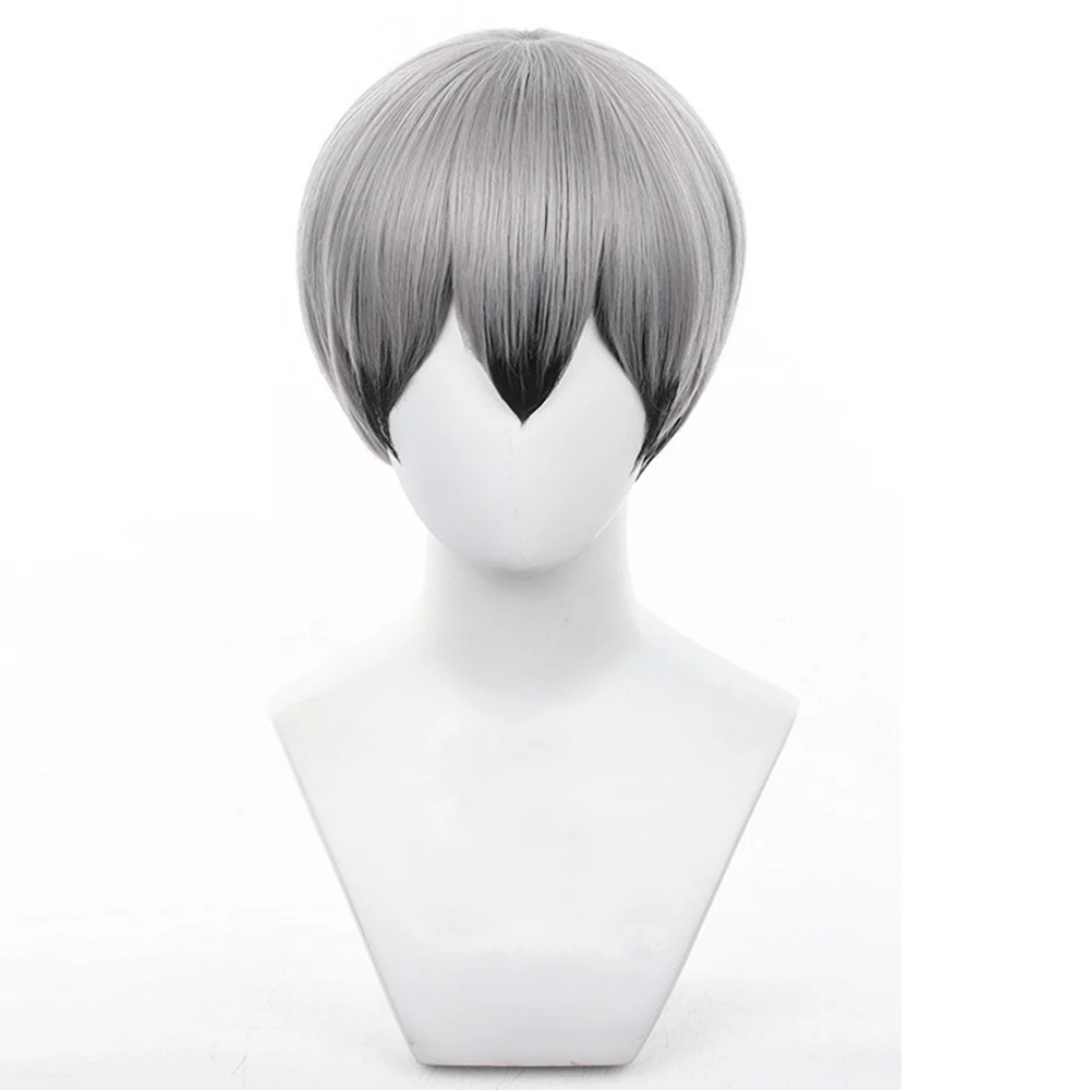 Cosplay Wig - CS 186M
