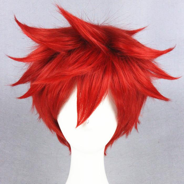 Cosplay Wig - cs 213D