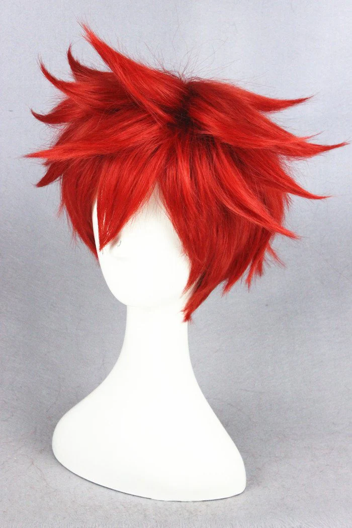 Cosplay Wig - cs 213D - Image 3