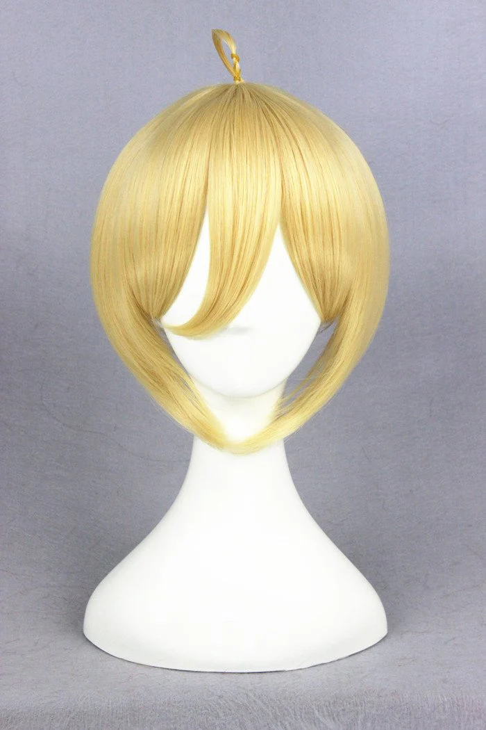 Cosplay Wig - cs 216B