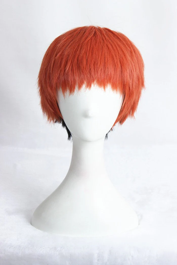 Cosplay Wig - CS 278F