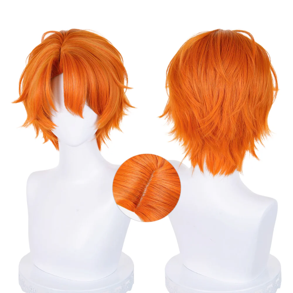 Cosplay Wig CS-278G