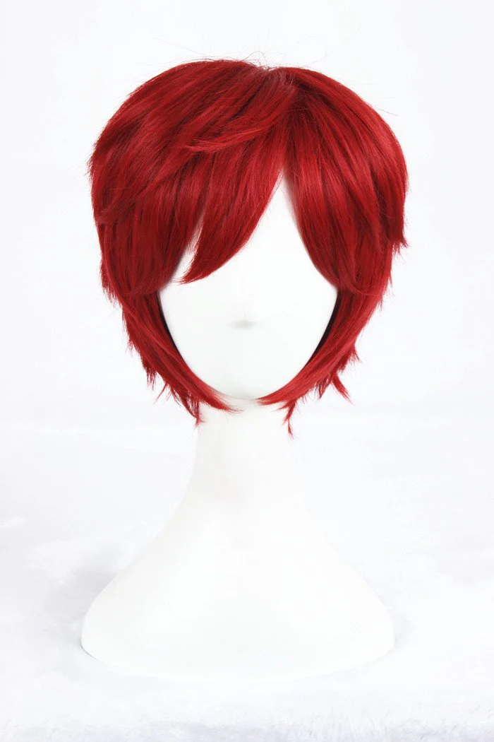 Cosplay Wig - cs 288E