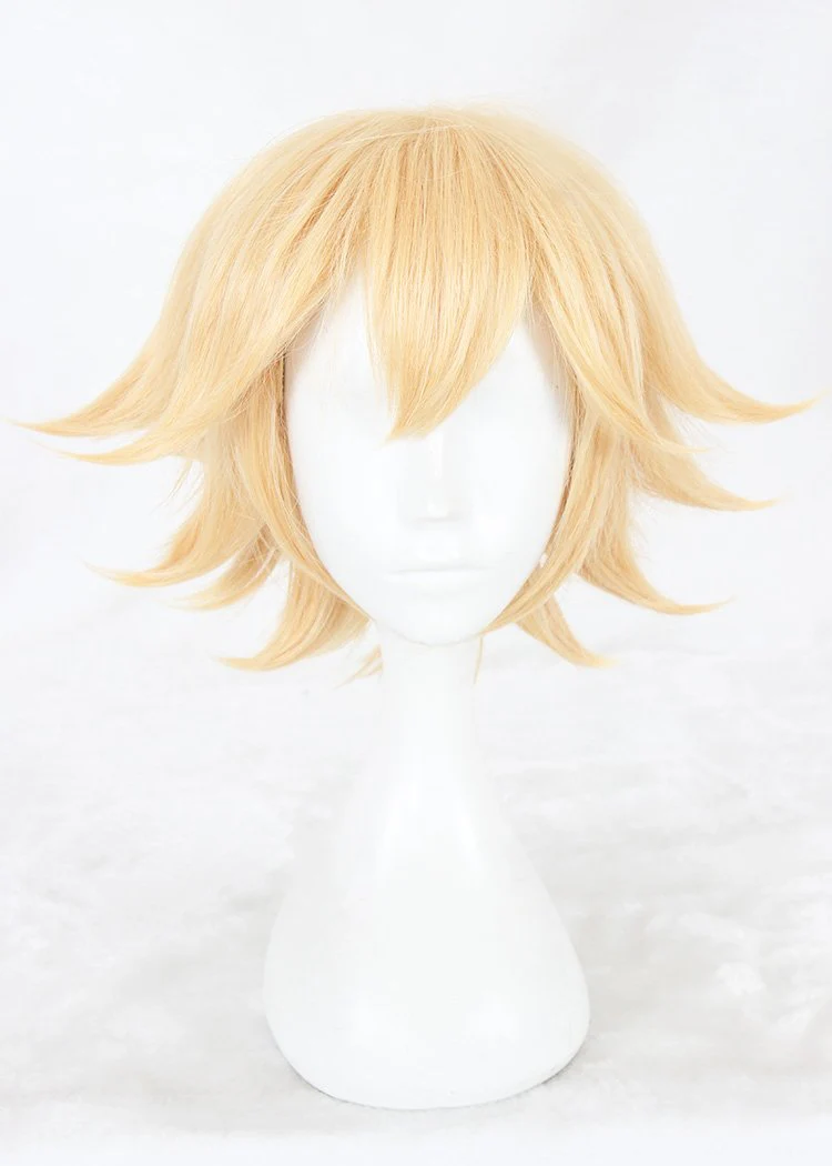 Cosplay Wig - cs 348a