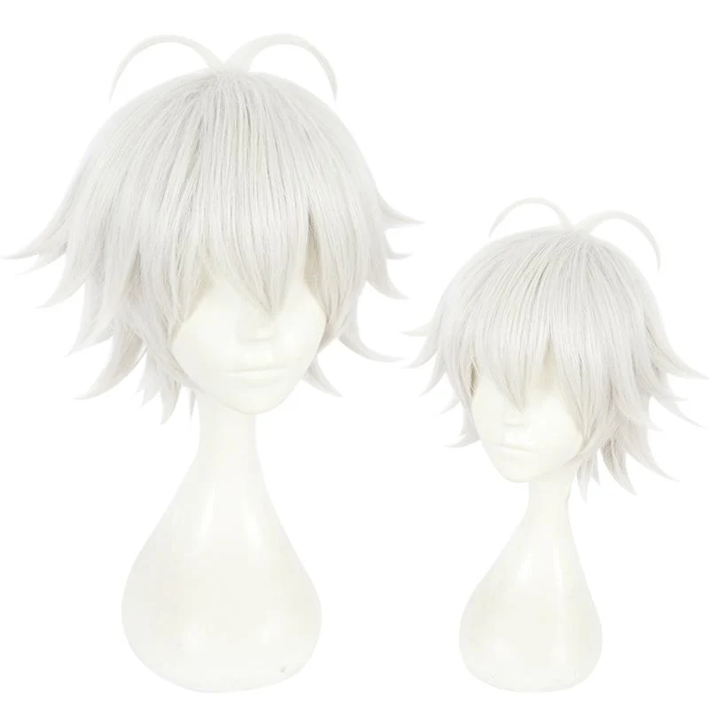 Cosplay Wig - CS 383D