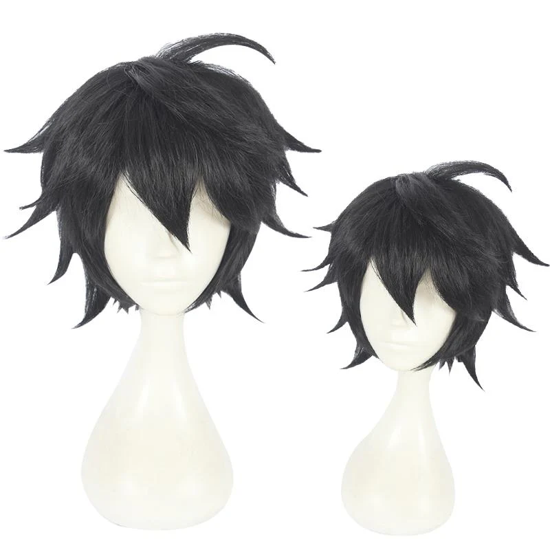 Cosplay Wig - CS 383F