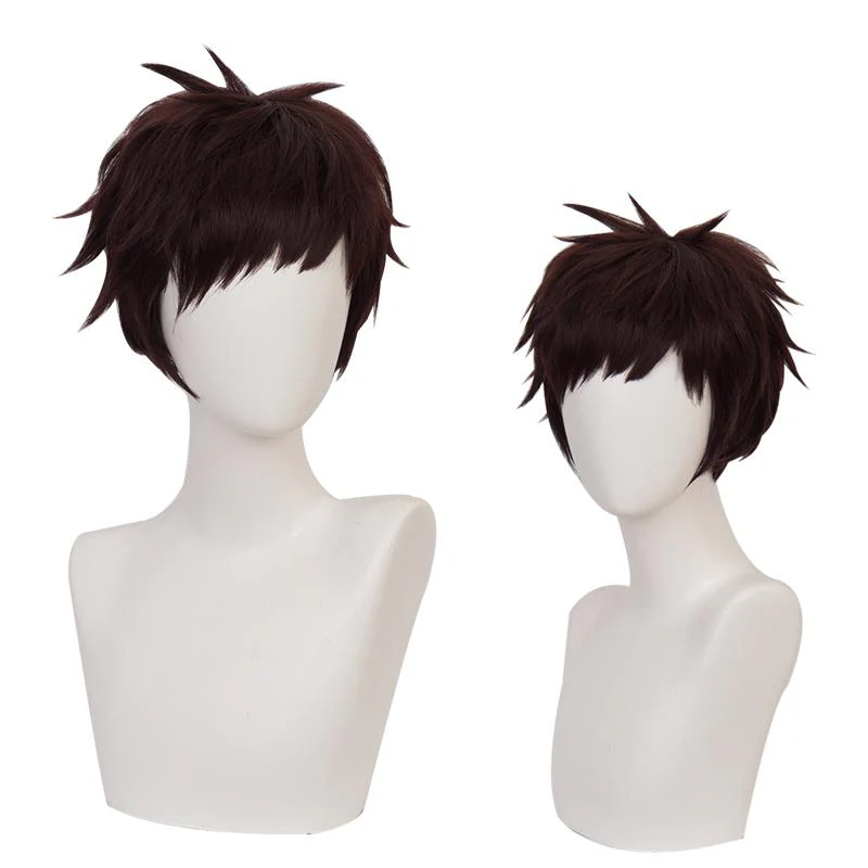 Cosplay Wig - CS 384K
