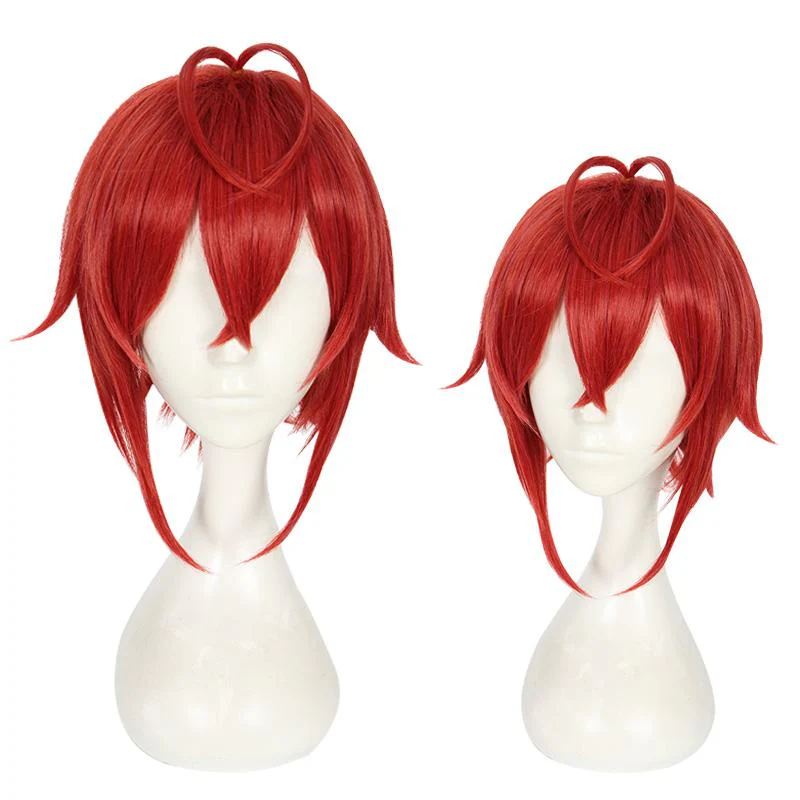 Cosplay Wig - CS 441A