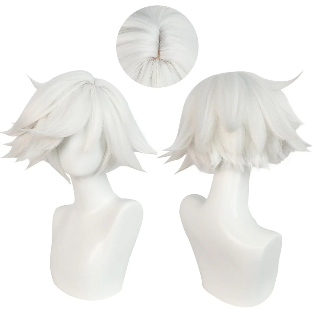 Cosplay Wig - CS 449F