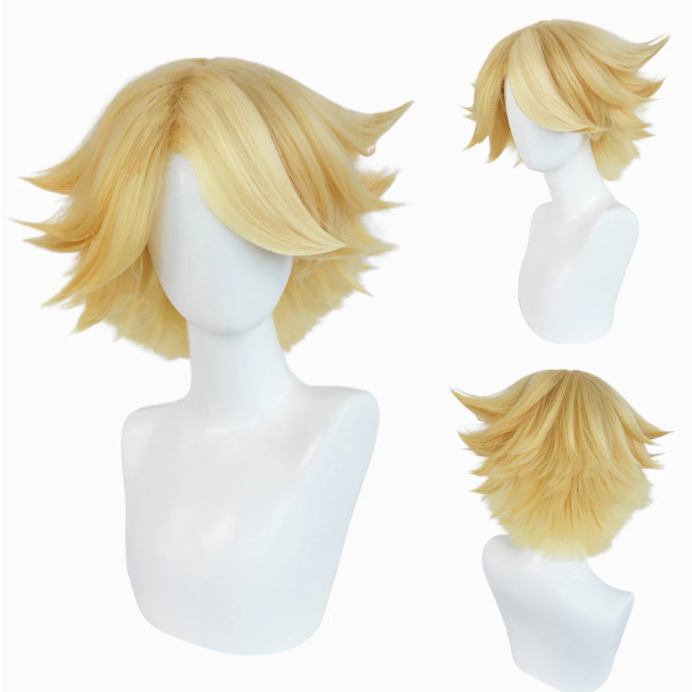 Cosplay Wig - CS 449I