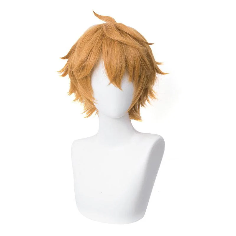 Cosplay Wig - CS 455R