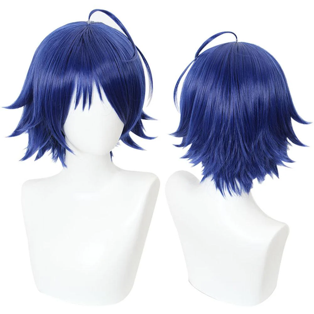 Cosplay Wig - CS 467A