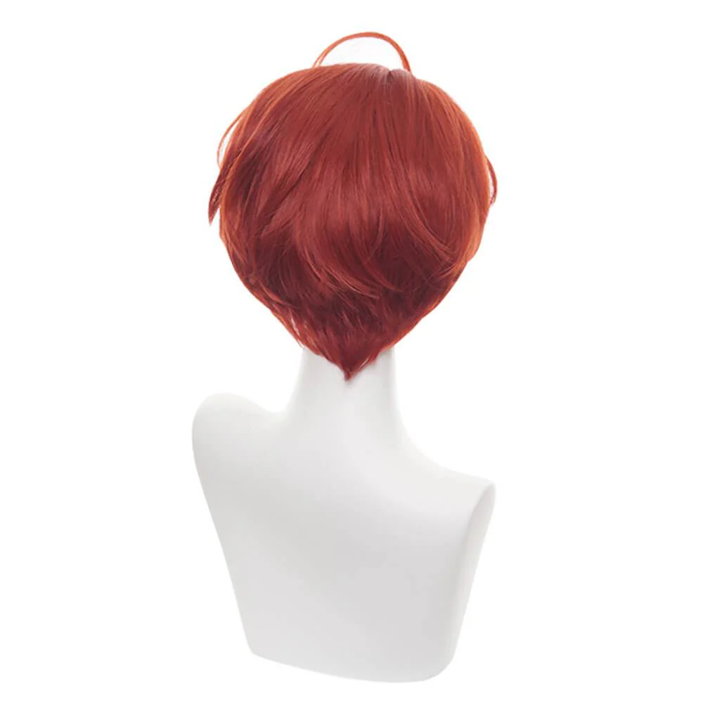 Cosplay Wig - CS 467C - Image 5