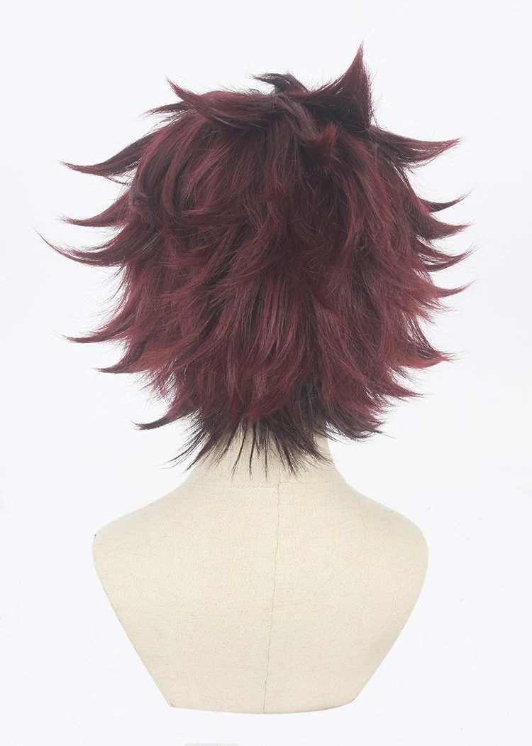 Cosplay Wig - cs 471c - Image 5
