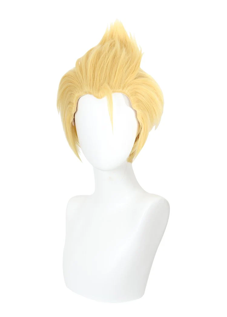 Cosplay Wig - CS 485H