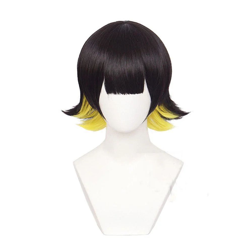 Cosplay Wig - CS 516B