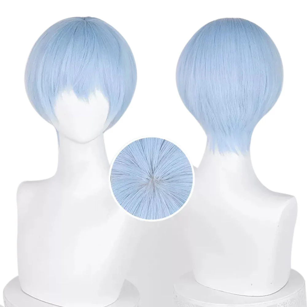 Cosplay Wig - CS 529B