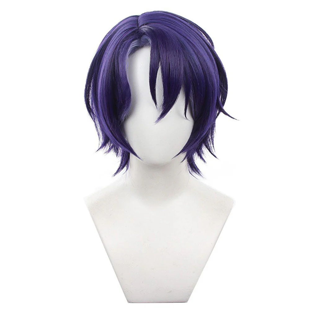 Cosplay Wig - CS 541B