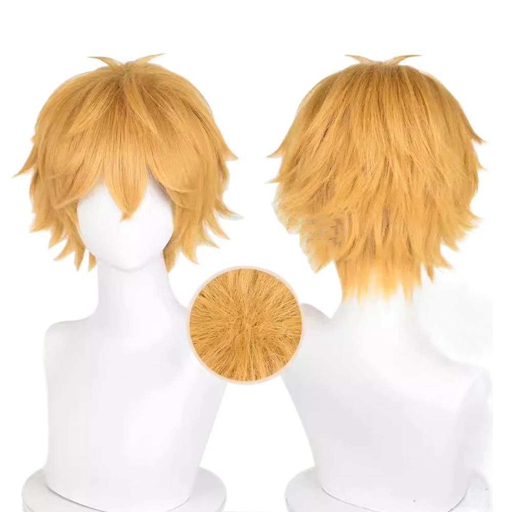 Cosplay Wig - CS 622D