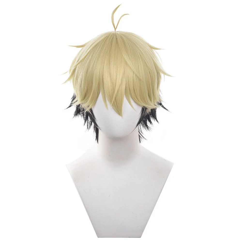 Cosplay Wig - CS 634D
