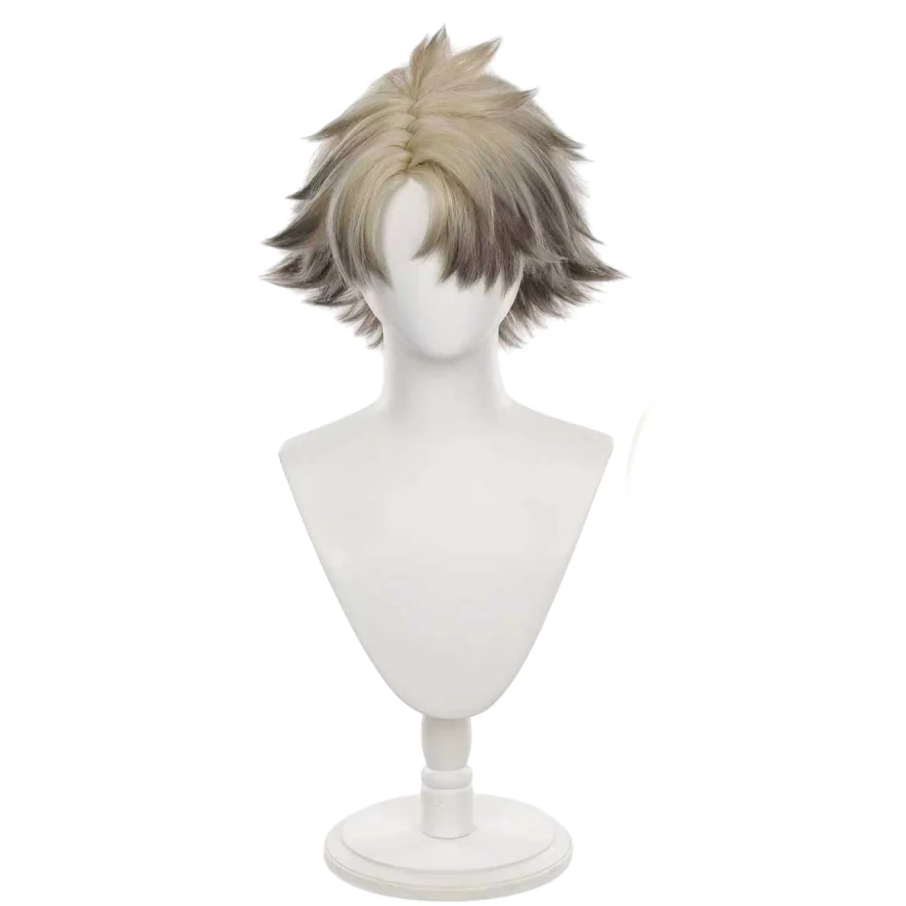 Cosplay Wig - CS 640A
