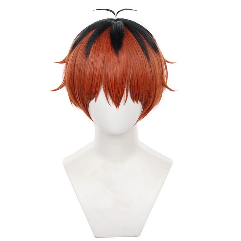 Cosplay Wig - Frieren At The Funeral-Stark - Image 2