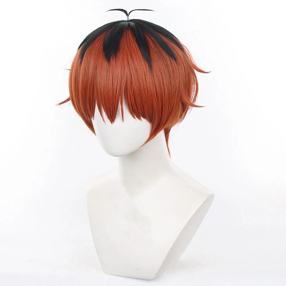 Cosplay Wig - Frieren At The Funeral-Stark - Image 4