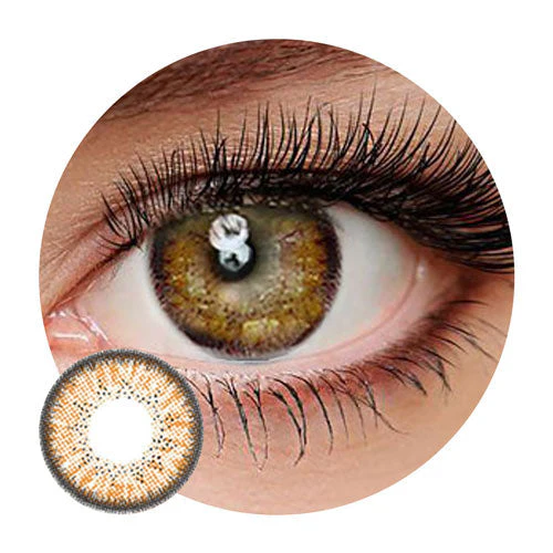 Dueba Toric - BT Brown (1 lens/pack)
