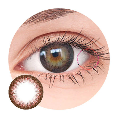 Dueba Toric - TR8 Brown (1 lens/pack)