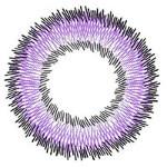 I-Codi Naty IC2 51 Violet (1 lens/pack) - Image 3