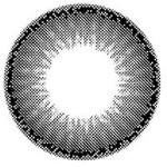 I-Codi Naty VB Black (1 lens/pack) - Image 3