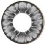 I.Fairy Tofi Grey (1 lens/pack)