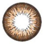 ICK Garnet Brown (1 lens/pack)