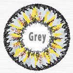 ICK Gaudy Grey (1 lens/pack)