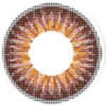ICK Shower Brown (1 lens/pack)
