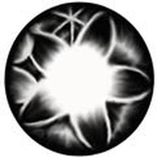 Kimchi Flora Grey (1 lens/pack)