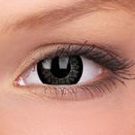 Phantasee BE Awesome Black (2 lenses/pack)