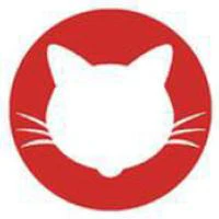 Sweety Crazy Red Cat (1 lens/pack)