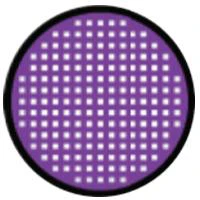 Sweety Crazy Violet Mesh Rim (1 lens/pack) - Image 3