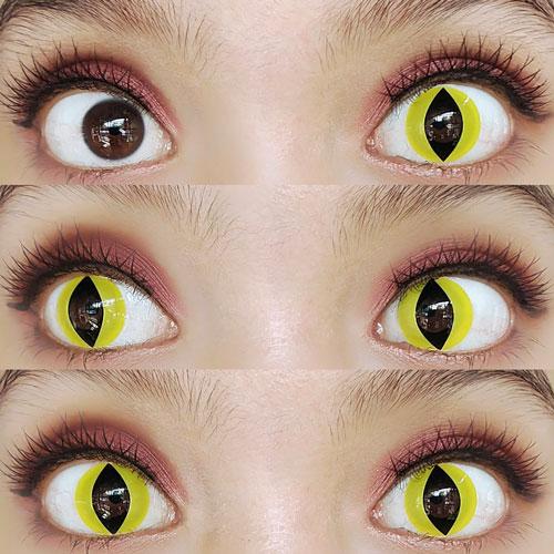 Sweety Crazy Yellow Cat (1 lens/pack) - Image 2