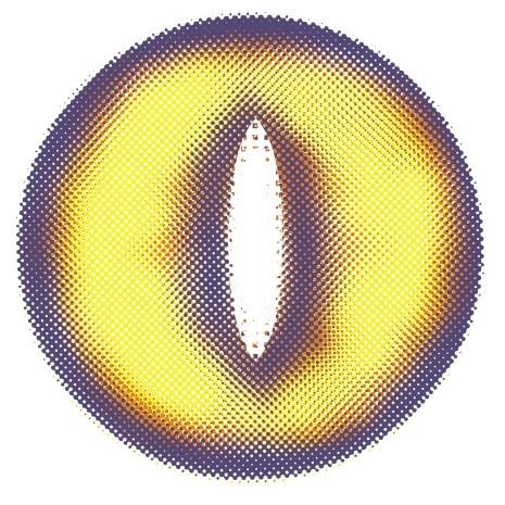 Sweety Crazy Yellow Demon Eye White Slit (1 lens/pack) - Image 4