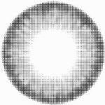 Kazzue Pro Crystal Grey (1 lens/pack)
