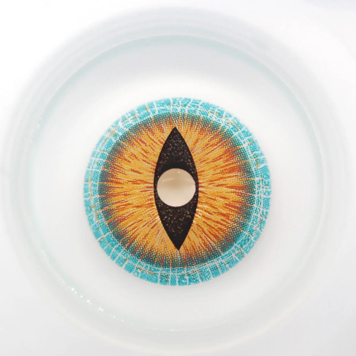 Sweety Mini Sclera Brown Lizard (1 lens/pack) - Image 4