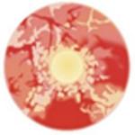 Sweety Red Sclera Contacts Zombie (1 lens/pack) - Image 3