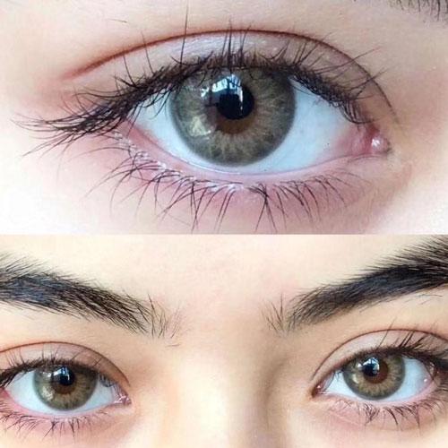 Sweety Taylor Brown (1 lens/pack) - Image 4