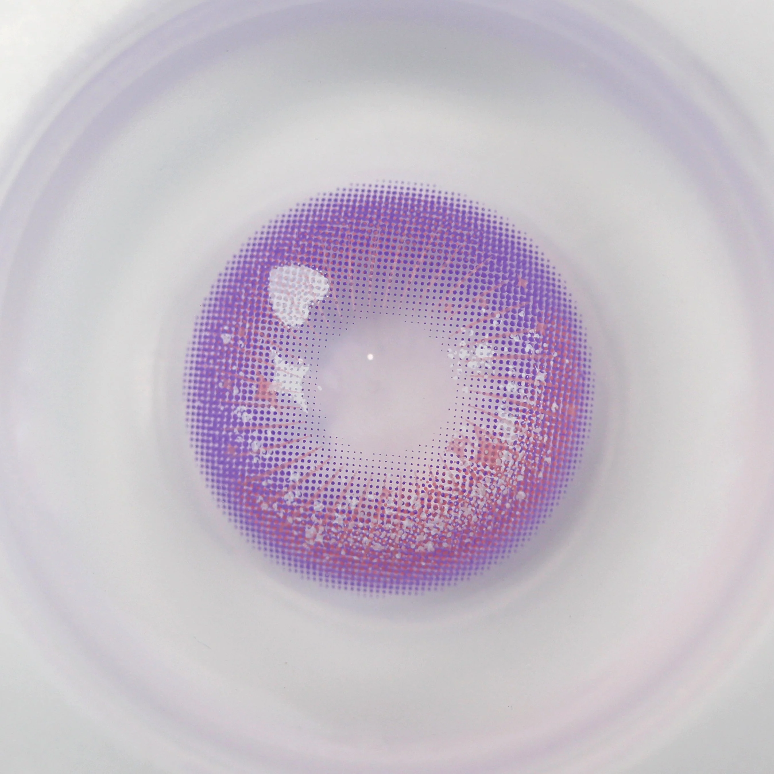 Sweety Crazy Candy Pop Violet (1 lens/pack) - Image 8